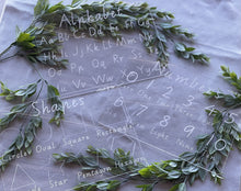 Load image into Gallery viewer, Trace and Erase 3 Pack